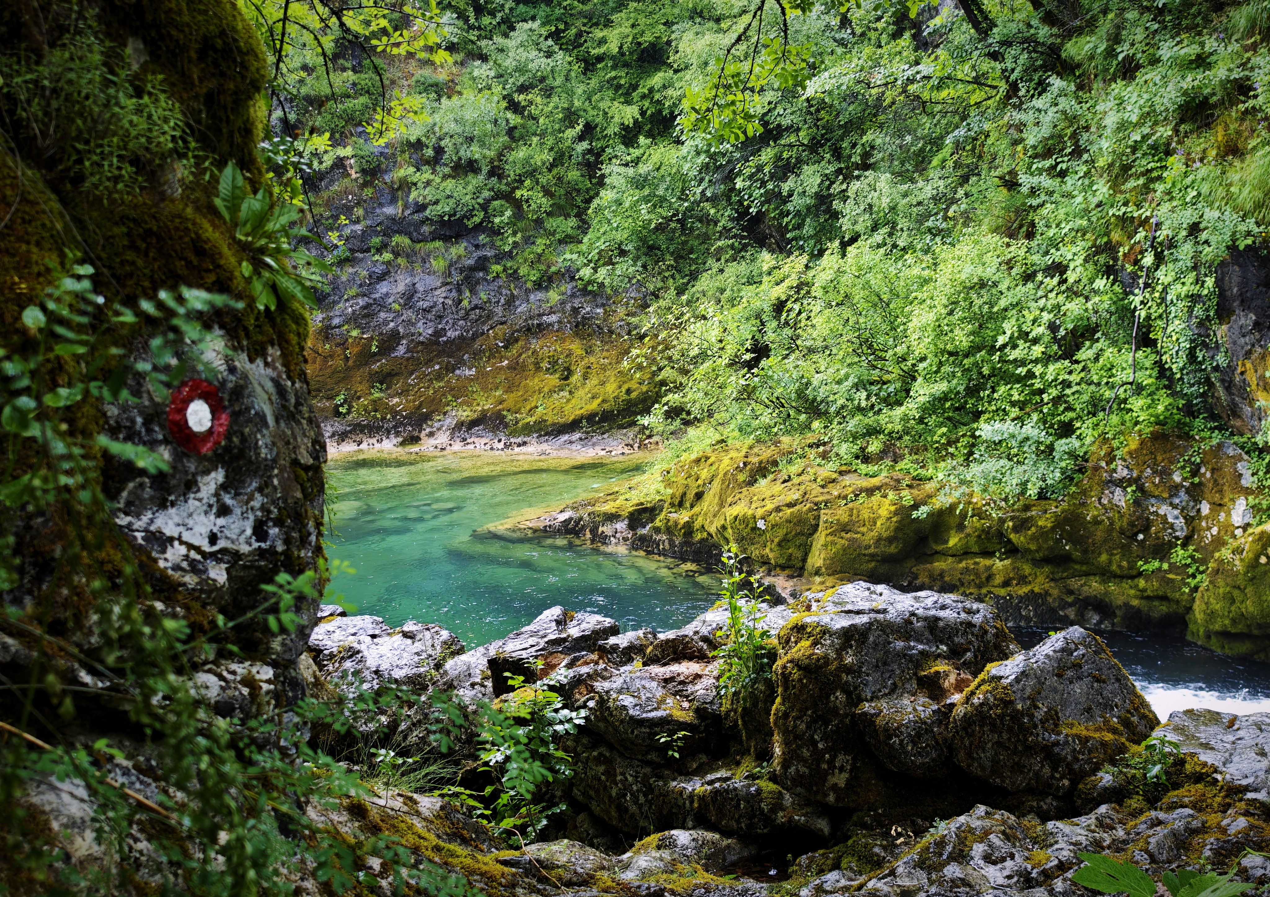 Emerald water, mossy rocks, and a marked path near Obod