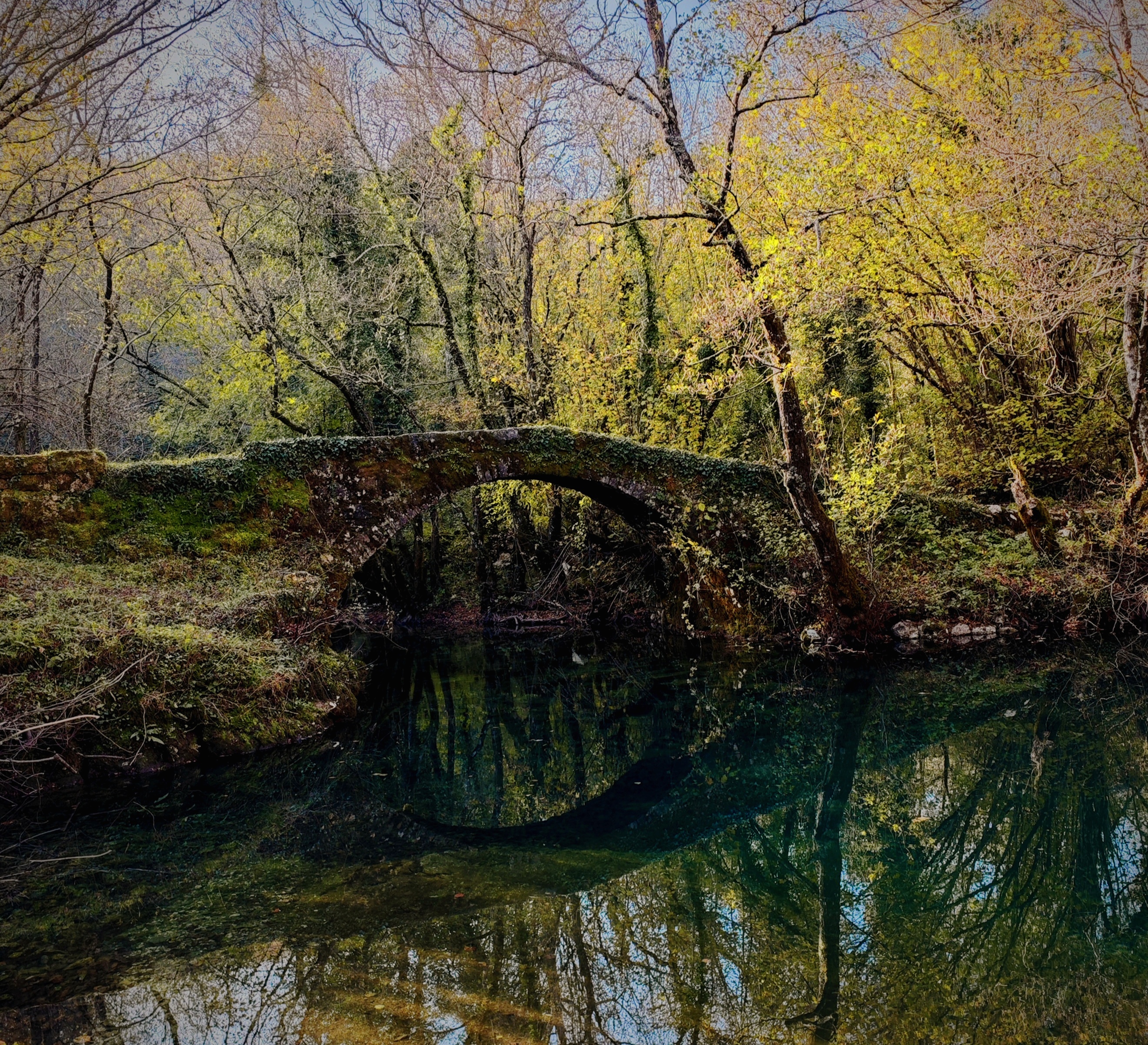 Forest stream and mossy canyon landscape in Orahovstica
